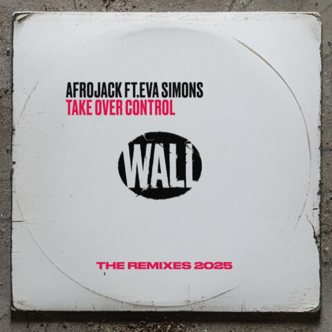 Take Over Control Remix